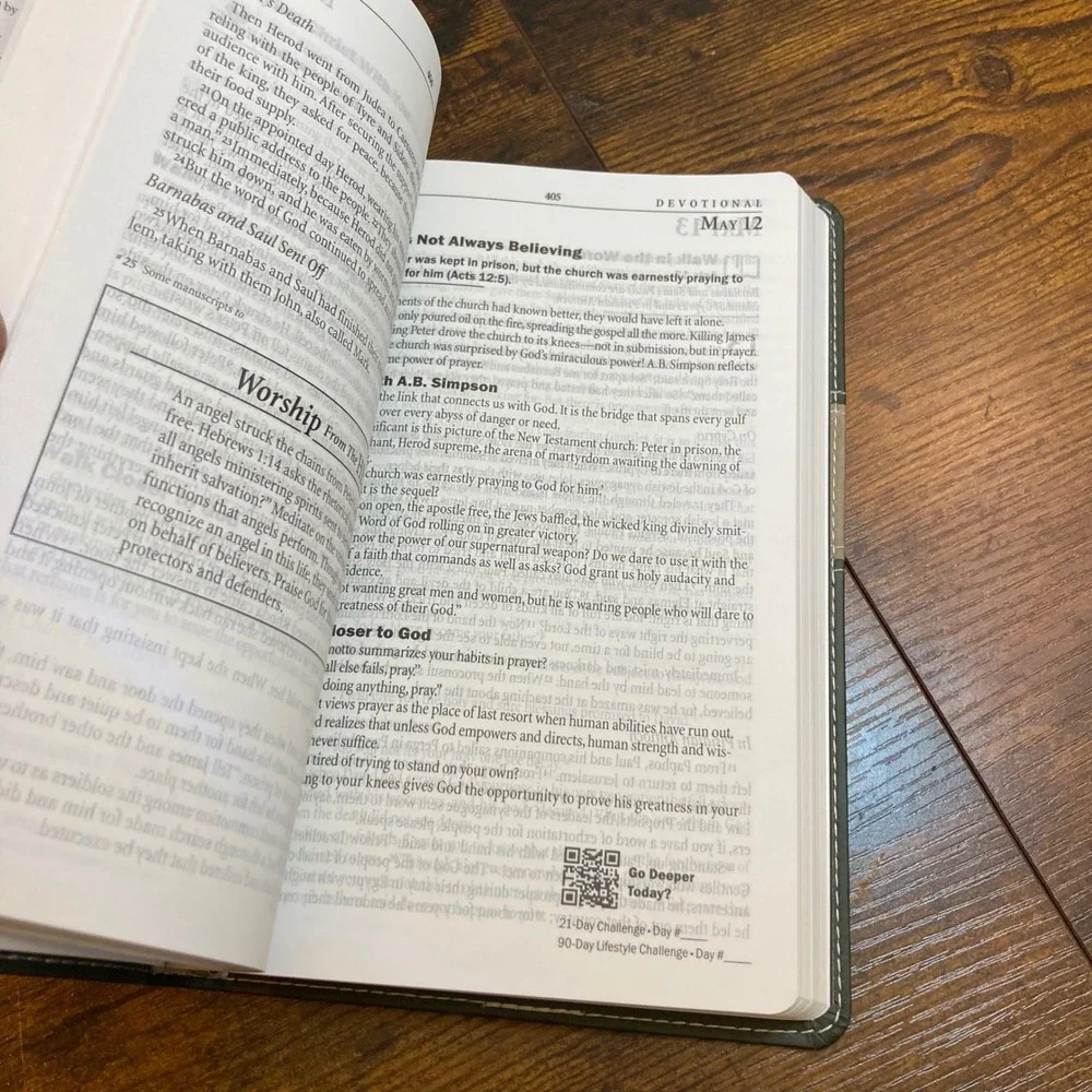The Family Wins NIV New Testament Devotional LeatherLike Cypress Dune Bible 2020